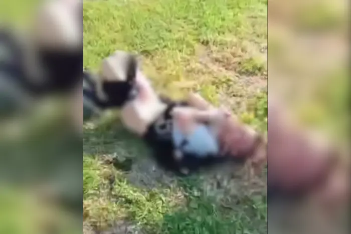 In Dnipropetrovsk, teenagers tortured a boy. Police found the participants of the incident