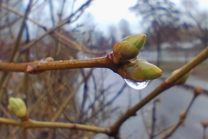 Wechselnde Bewölkung, örtlich Regen: Wettervorhersage für den 3. Mai