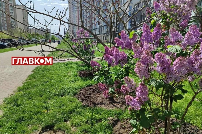 Прогноз погоди на 8 травня