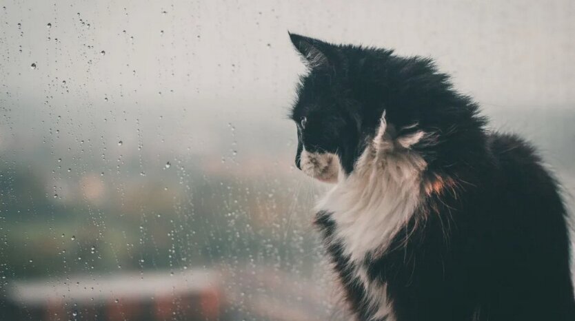 Do Ukrainy nadejdzie ochłodzenie z deszczem: gdzie utrzyma się +27