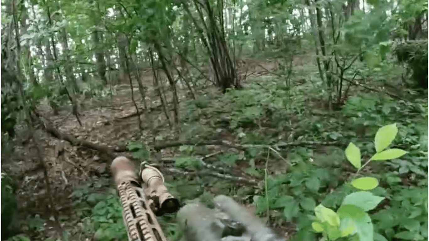 SSO zeigte einen Überfall auf die Position der Besatzer an der Grenze zu Russland