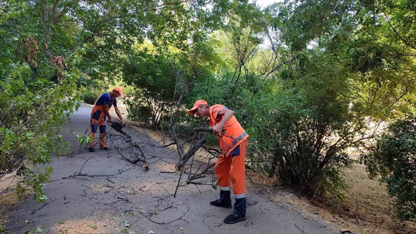 Фіктивні броні в Одесі — військові засудили схеми чиновників